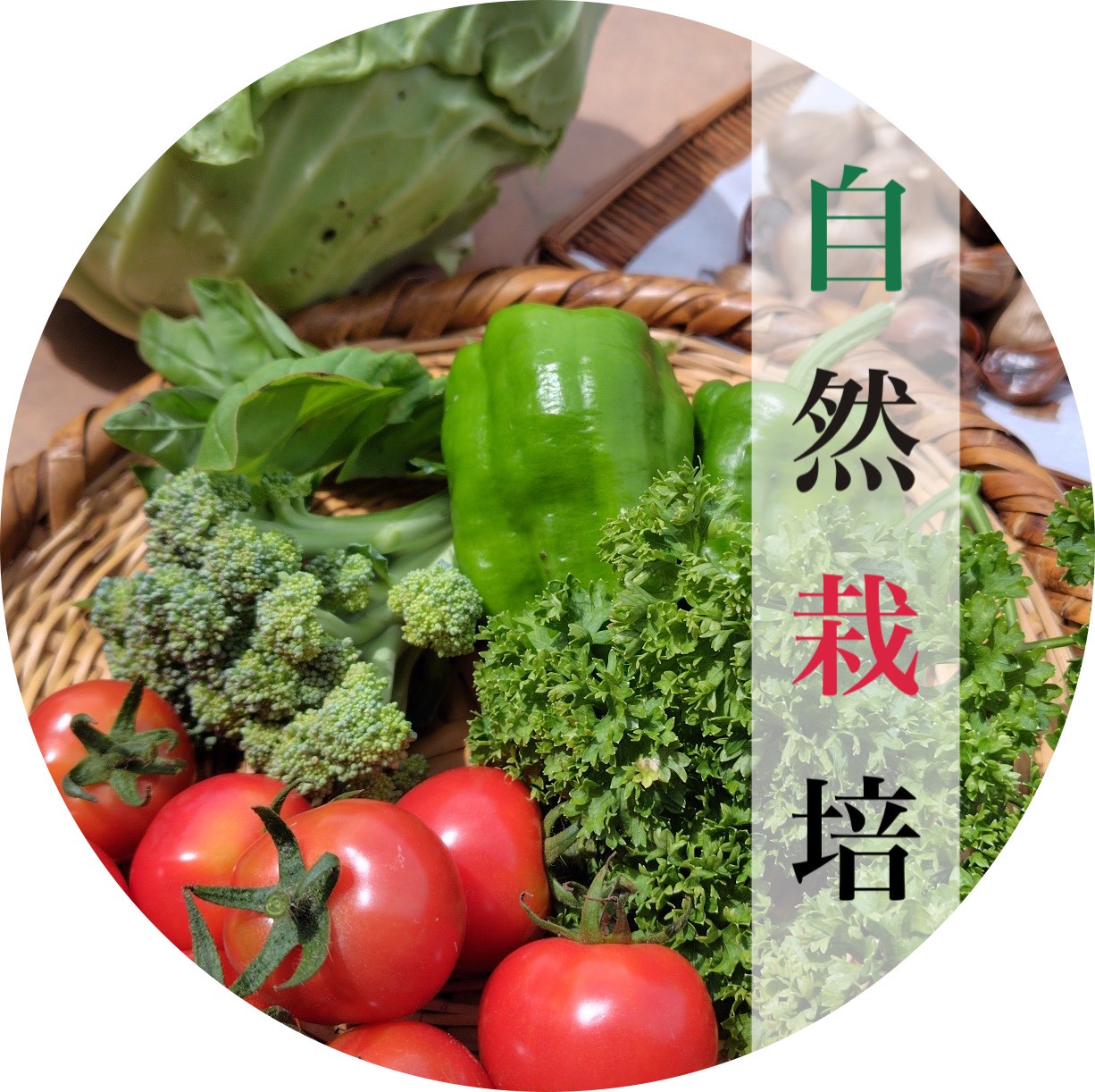 自然栽培
